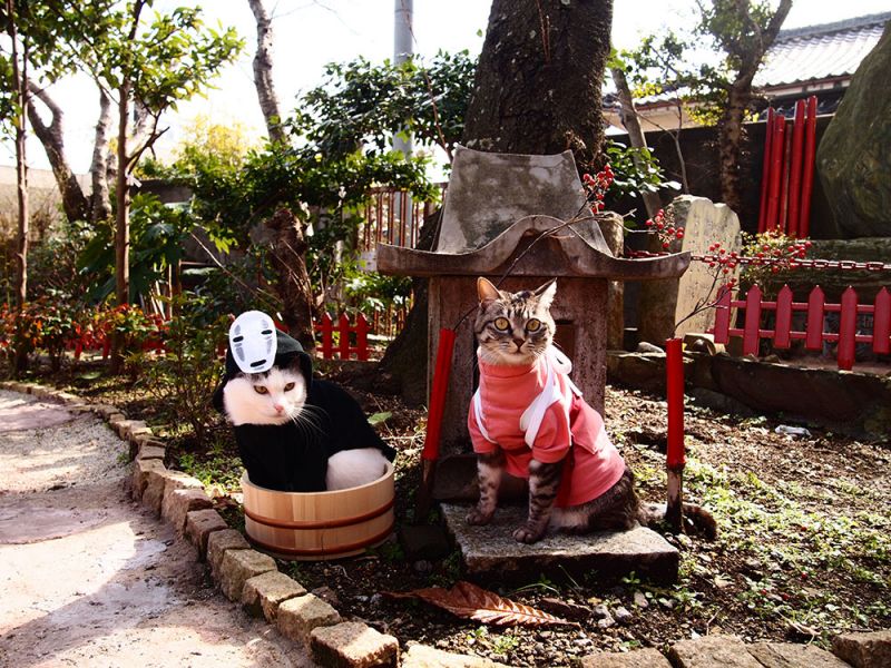 Cosplay nhân vật Ghibli